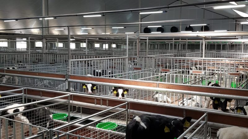 直播电商运营方案价格对比
